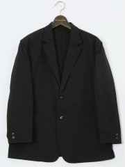 【大きいサイズ】ルイシャブロン/LOUIS CHAVLON ドライストレッチ 2ボタンジャケット(セットアップ可能)