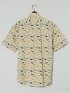 【大きいサイズ】CLASSIC THE BROWNS 日本製 綿リップル ボタンダウン半袖シャツ