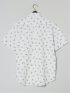 【大きいサイズ】CLASSIC THE BROWNS 日本製 綿リップル ボタンダウン半袖シャツ