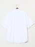 【大きいサイズ】ルイシャブロン/LOUIS CHAVLON 半袖シャツ&半袖Ｔシャツ アンサンブル