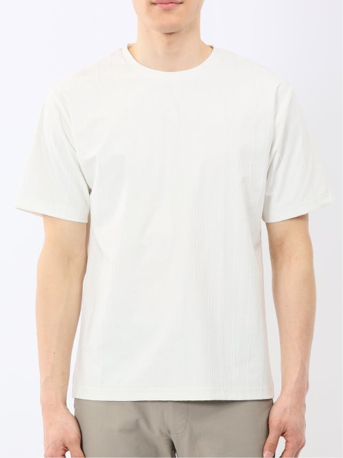 リンクス ストライプ クルーネック 半袖 Tシャツ