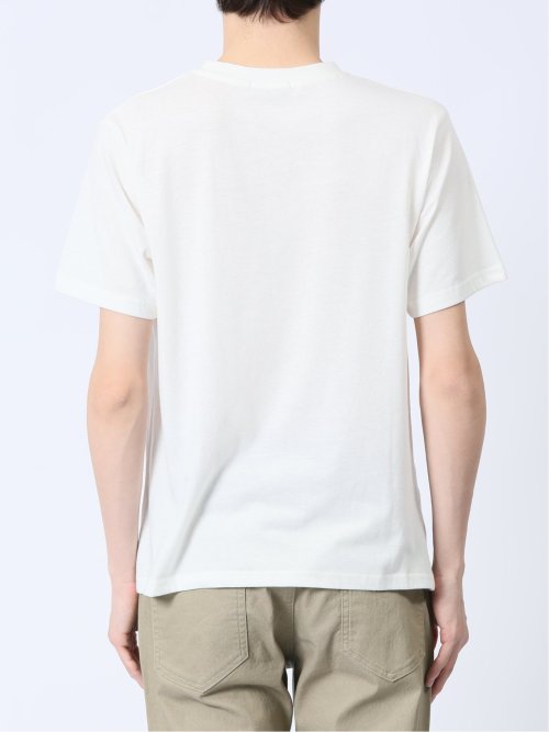 着流しカーデ&半袖Ｔシャツ アンサンブル