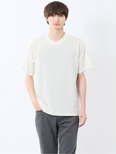 ドビー天竺 Vネック半袖Tシャツ