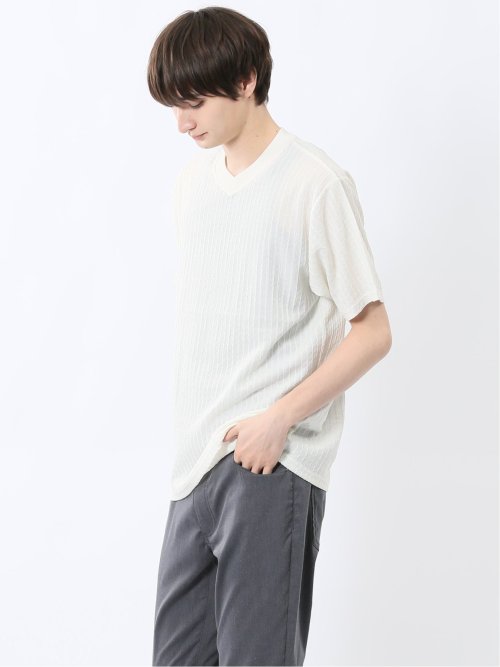 ドビー天竺 Vネック半袖Tシャツ