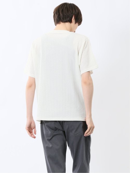 ドビー天竺 Vネック半袖Tシャツ