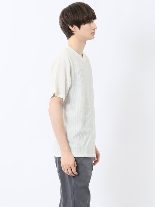 ドビー天竺 Vネック半袖Tシャツ