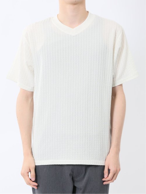 ドビー天竺 Vネック半袖Tシャツ