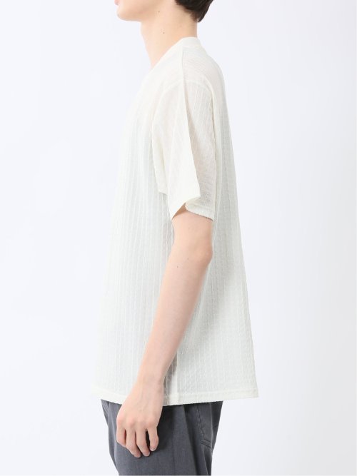 ドビー天竺 Vネック半袖Tシャツ