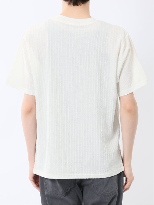 ドビー天竺 Vネック半袖Tシャツ