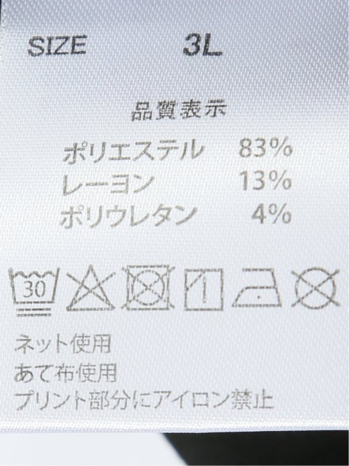 【大きいサイズ】レッドキャプガール/RED CAP GIRL ストレッチ バックプリント フルジップパーカー