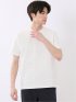 シルケット リンクス ボーダー スロープネック 半袖 Tシャツ
