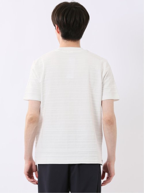 シルケット リンクス ボーダー スロープネック 半袖 Tシャツ