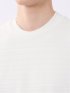 シルケット リンクス ボーダー スロープネック 半袖 Tシャツ