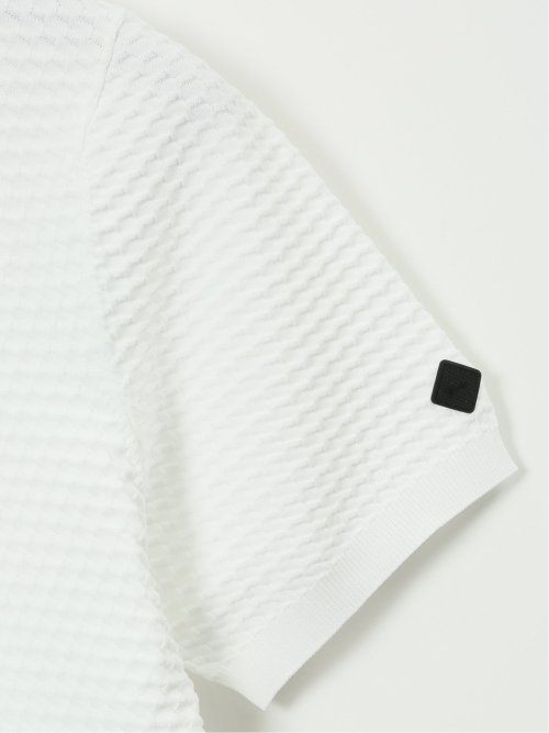 【大きいサイズ】ジーステージ/G-stage ストレッチ ウォッシャブル ブリスター クルー 半袖 ニット