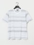 ポップコーンボーダー Vネック半袖Tシャツ