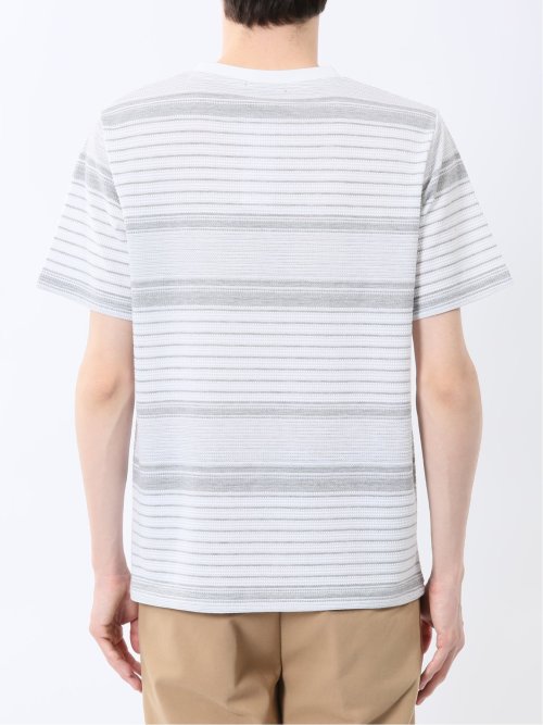 ポップコーンボーダー Vネック半袖Tシャツ