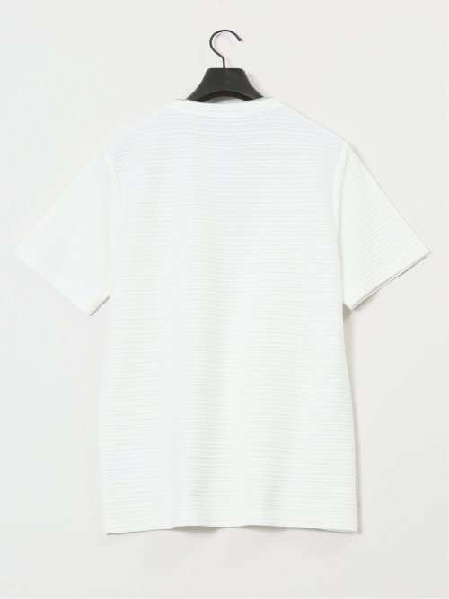 ピンタックボーダー クルーネック半袖Tシャツ