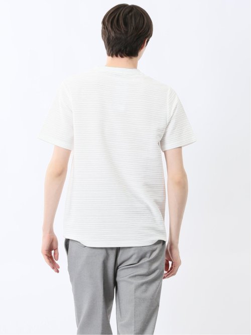 ピンタックボーダー クルーネック半袖Tシャツ