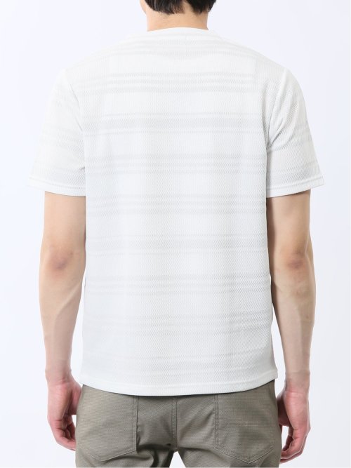 メッシュボーダー Vネック半袖Tシャツ