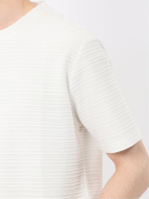 ピンタックボーダー クルーネック半袖Tシャツ