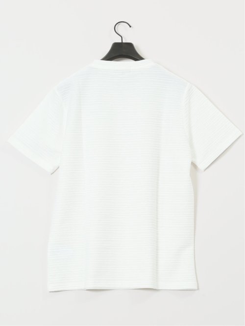 ピンタックボーダー クルーネック半袖Tシャツ