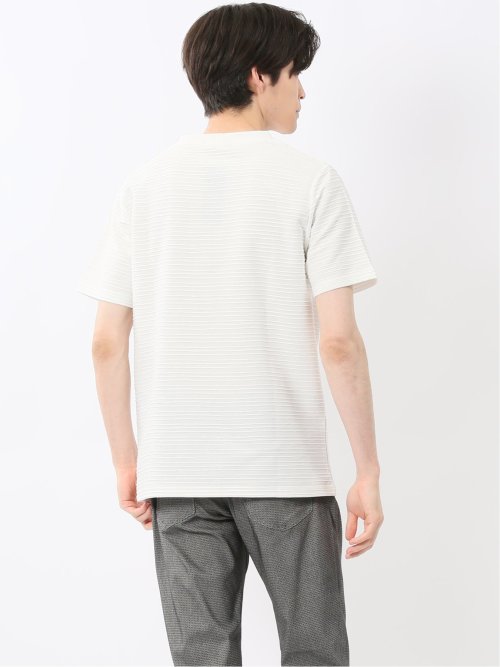 ピンタックボーダー クルーネック半袖Tシャツ