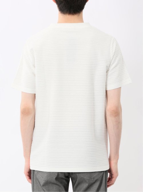 ピンタックボーダー クルーネック半袖Tシャツ