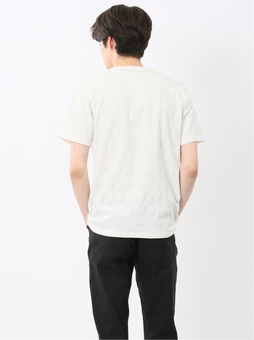 ふくれアーガイル Vネック半袖Tシャツ