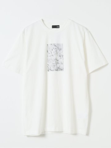 綿天竺 フォト プリント クルーネック 半袖 Tシャツ