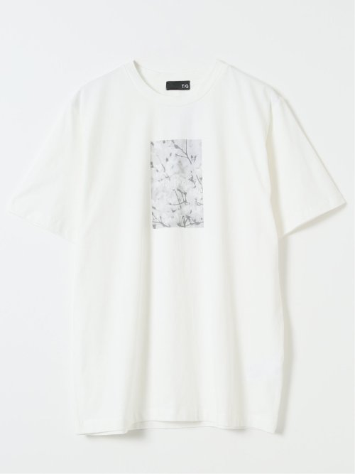 綿100% コットン 天竺 フォト プリント クルーネック 半袖 Tシャツ メンズ