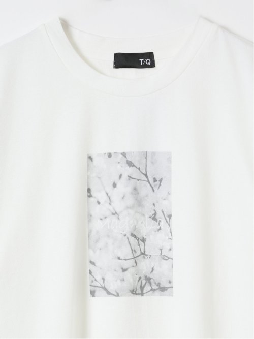 綿天竺 フォト プリント クルーネック 半袖 Tシャツ