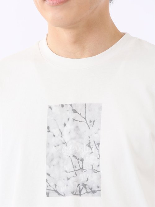綿100% コットン 天竺 フォト プリント クルーネック 半袖 Tシャツ メンズ