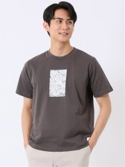 綿天竺 フォト プリント クルーネック 半袖 Tシャツ