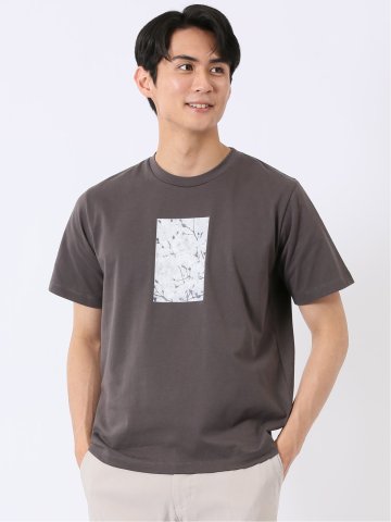 綿天竺 フォト プリント クルーネック 半袖 Tシャツ