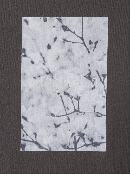 綿天竺 フォト プリント クルーネック 半袖 Tシャツ