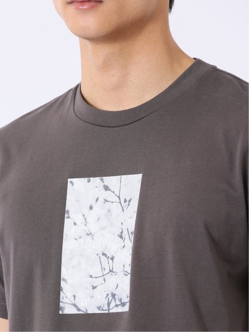 綿天竺 フォト プリント クルーネック 半袖 Tシャツ