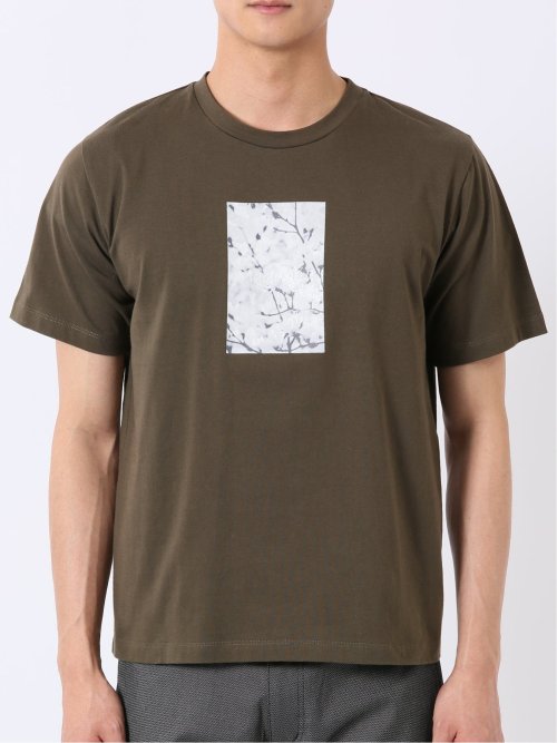 綿天竺 フォト プリント クルーネック 半袖 Tシャツ