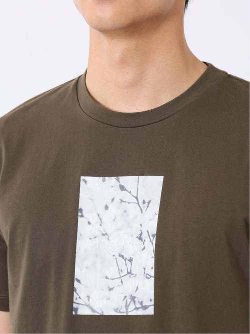 綿天竺 フォト プリント クルーネック 半袖 Tシャツ