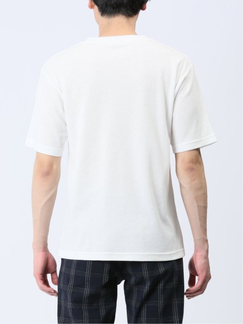 7分袖カーディガン&半袖Tシャツ アンサンブル