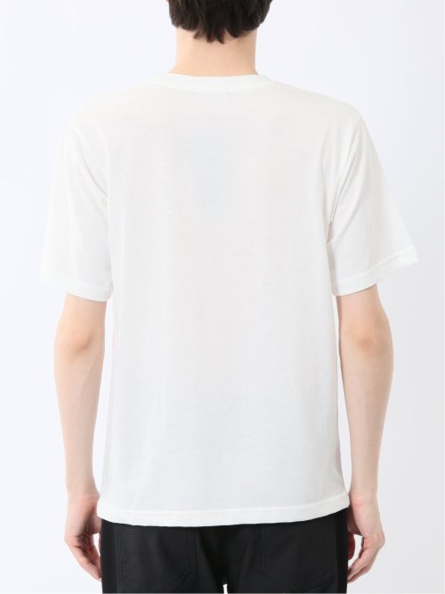 着流しカーデ7分&半袖Ｔシャツ アンサンブル