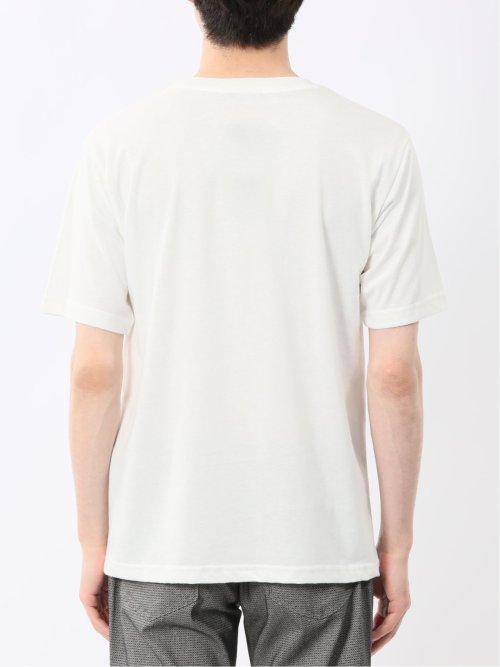 着流しカーデ7分&半袖Ｔシャツ アンサンブル