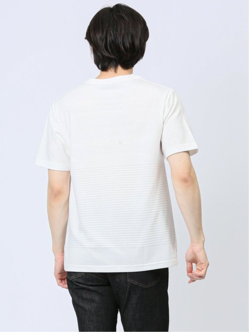 リンクスパネルボーダー Vネック半袖Tシャツ