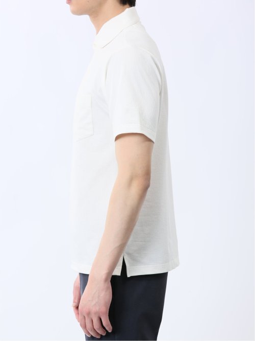 カットサッカー ワイドカラー半袖ポロシャツ