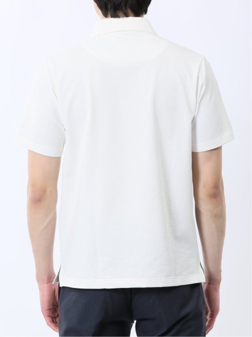 カットサッカー ワイドカラー半袖ポロシャツ