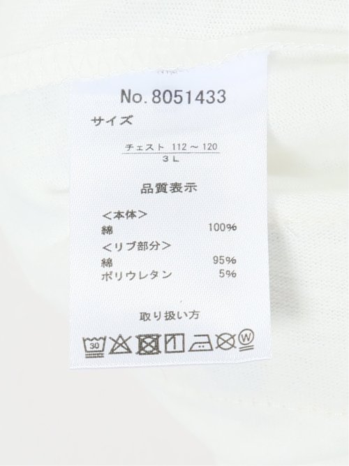 【大きいサイズ】キャプテンスタッグ/CAPTAIN STAG ビンテージプリント クルーネック半袖Ｔシャツ