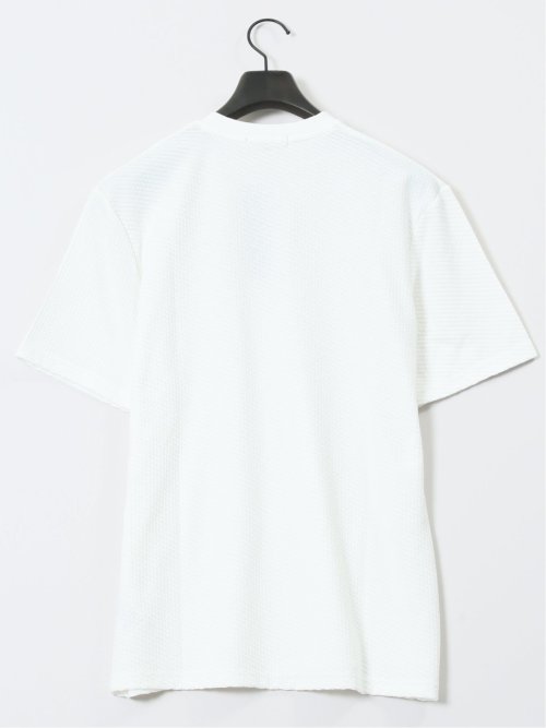 バイヤスジャガード Vネック半袖Tシャツ