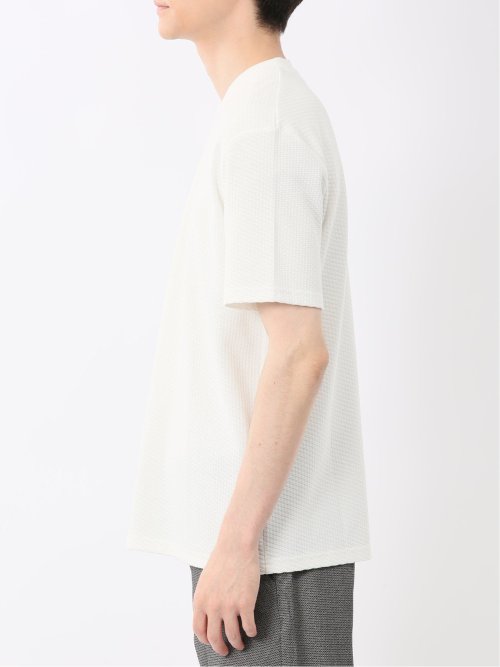 バイヤスジャガード Vネック半袖Tシャツ