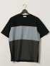 【大きいサイズ】ルイシャブロン/LOUIS CHAVLON パネル切替 クルーネック半袖Tシャツ