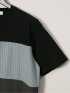 【大きいサイズ】ルイシャブロン/LOUIS CHAVLON パネル切替 クルーネック半袖Tシャツ