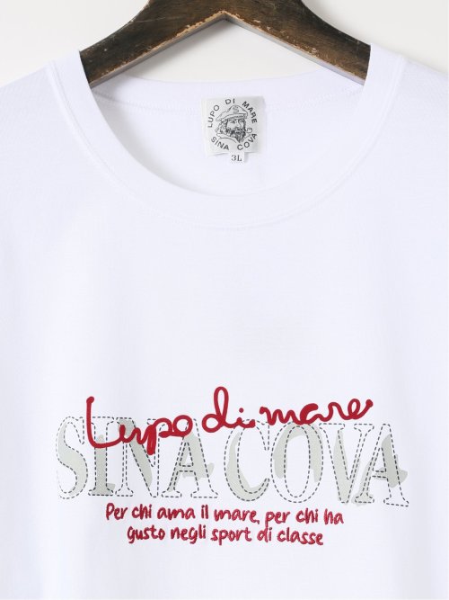 【大きいサイズ】シナコバ/SINA COVA 綿 シルケット クルーネック 半袖 Tシャツ